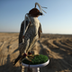 Image for article titled Falconers in Abu Dhabi Train Their Raptors With Drones